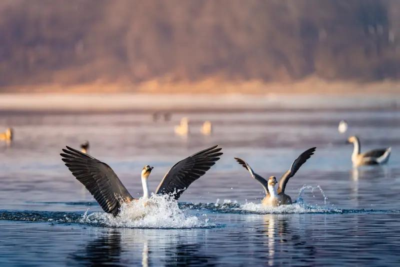 27岁女儿离世3年后夫妻再生小女儿27岁独生女雨婷2022年12月意外离世，对