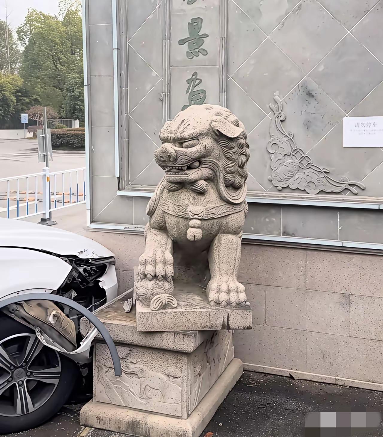 再厉害的镇宅神兽！也抵不住女司机的疯狂[赞]