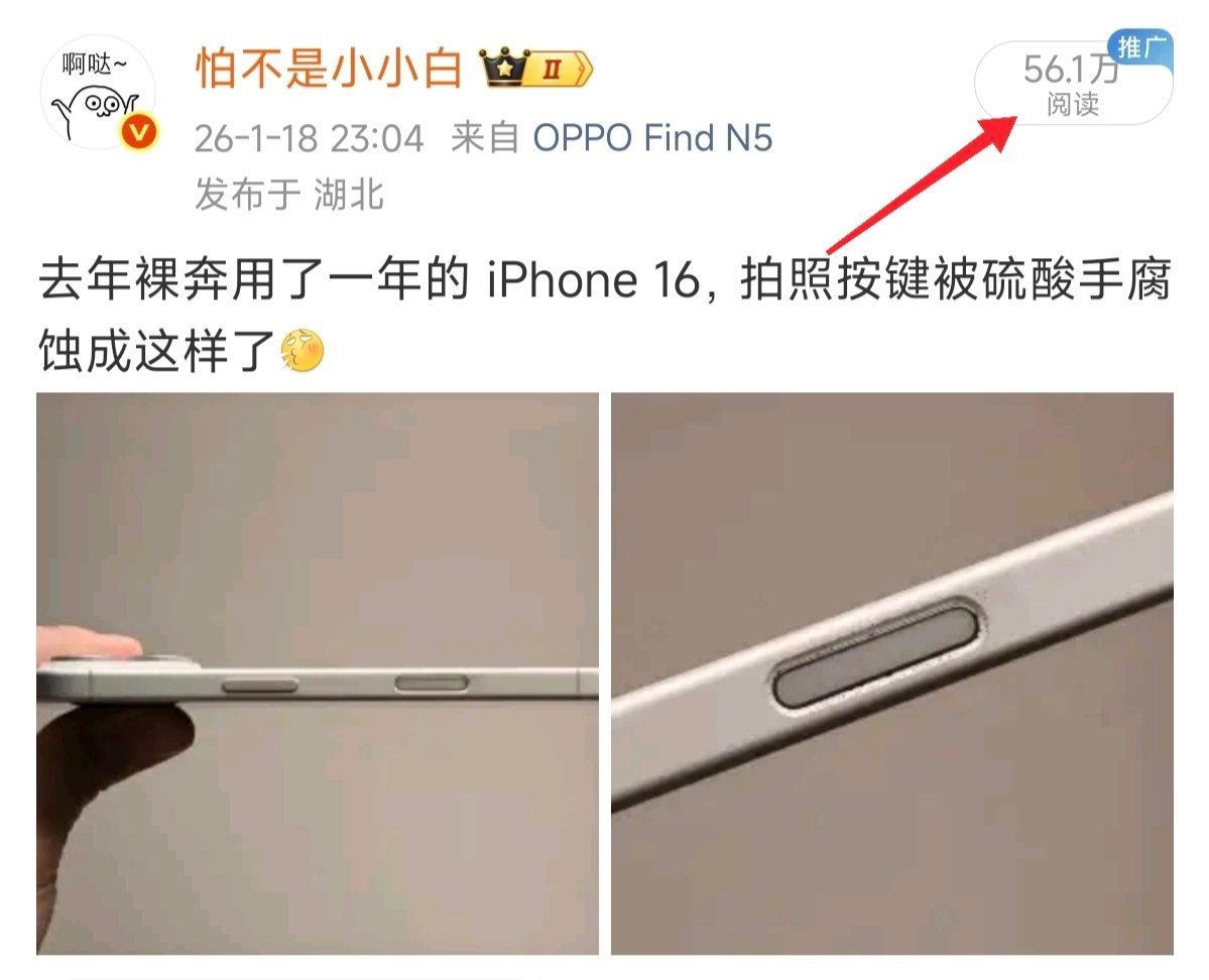 不是这条为啥这么火啊