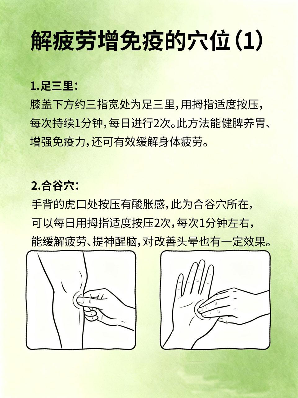 中医小常识：每天按4个穴位，缓解疲劳，增强免疫力日常工作生活压力大💼，很多人