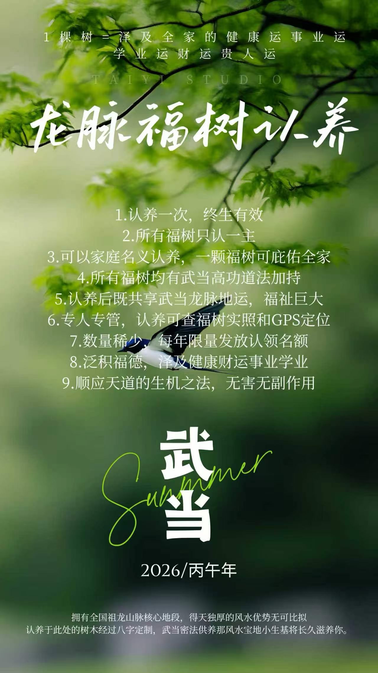 武当山龙脉福树认养认养福树有全球定位系统，可以查询地址，福树植根于武当龙脉灵地，