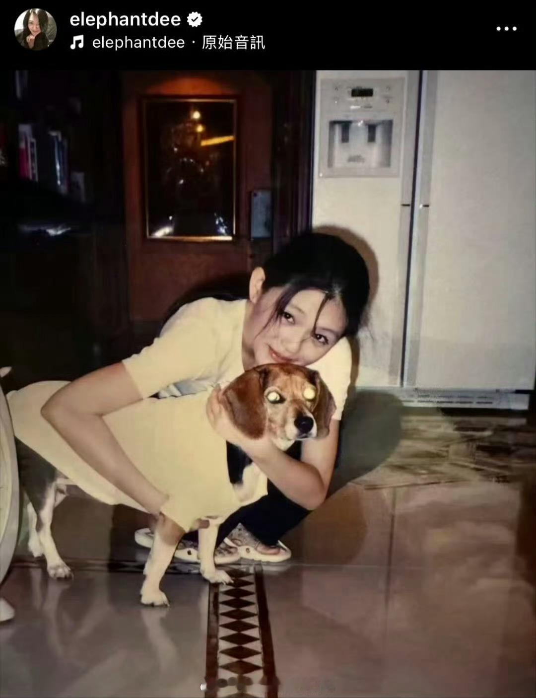 小S再次发照片回忆大S和五妹娘（她们养的比格犬）