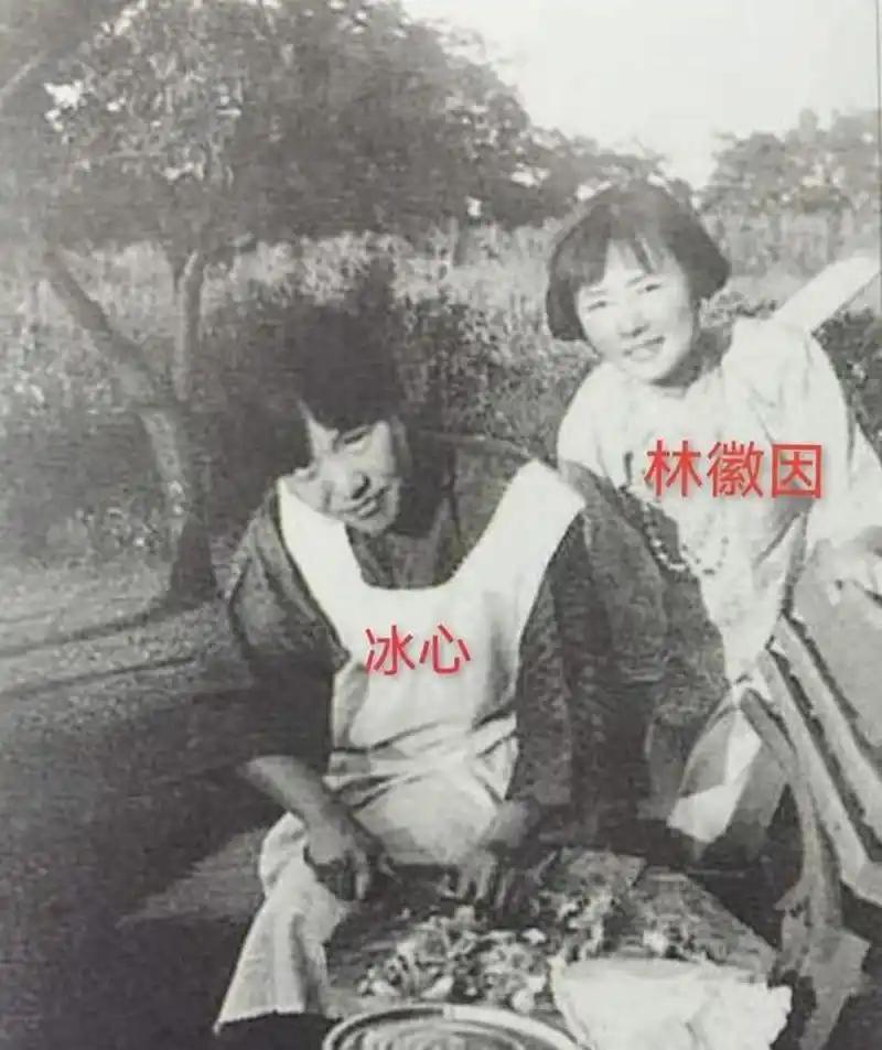 教科书里温文尔雅的世纪老人冰心，私下里曾对林徽因极尽讽刺，晚年却矢口否认，将黑锅