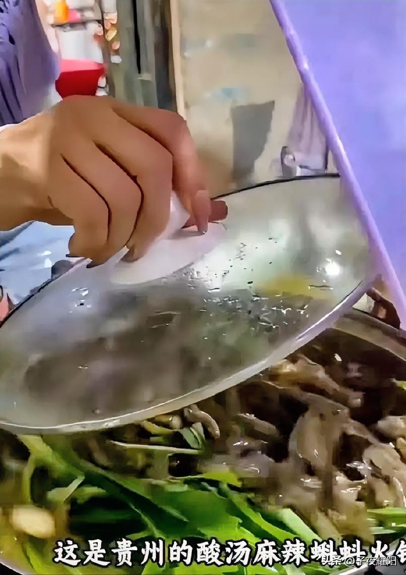 贵州特色酸汤蝌蚪火锅，你有胆量吃吗？把蝌蚪作为一种食材，可能除了贵州这个地方