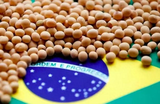中国刚重启采购美国大豆,巴西大豆就主动降价了这反应速度,快得让人有点