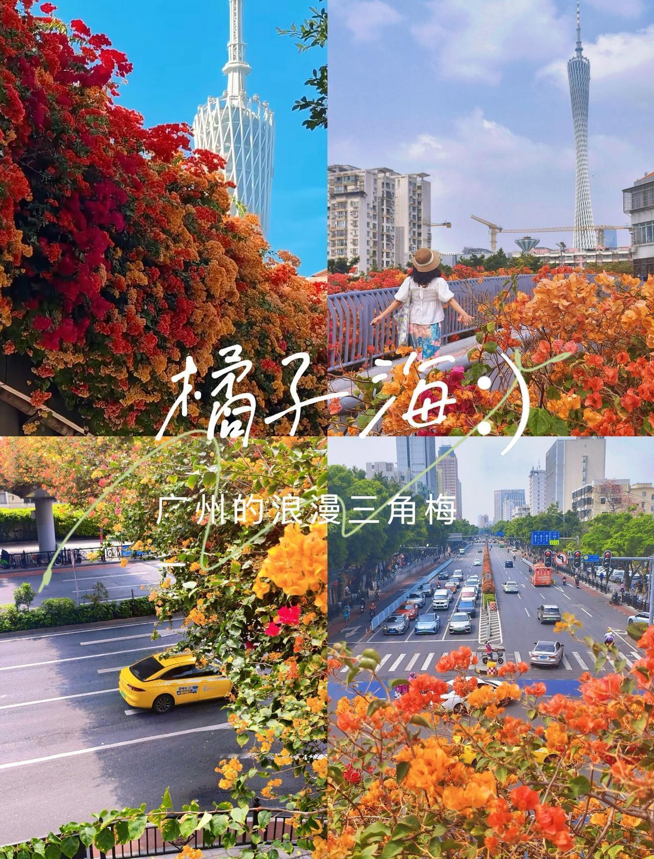 客村又爆花🧡是橘子海一样的春天📍广州幸福社区赤岗天桥又爆花了，估计能持