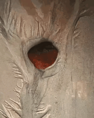 不同的角度看到不同的事实，只有全方位的观察才不会被片面所局限。