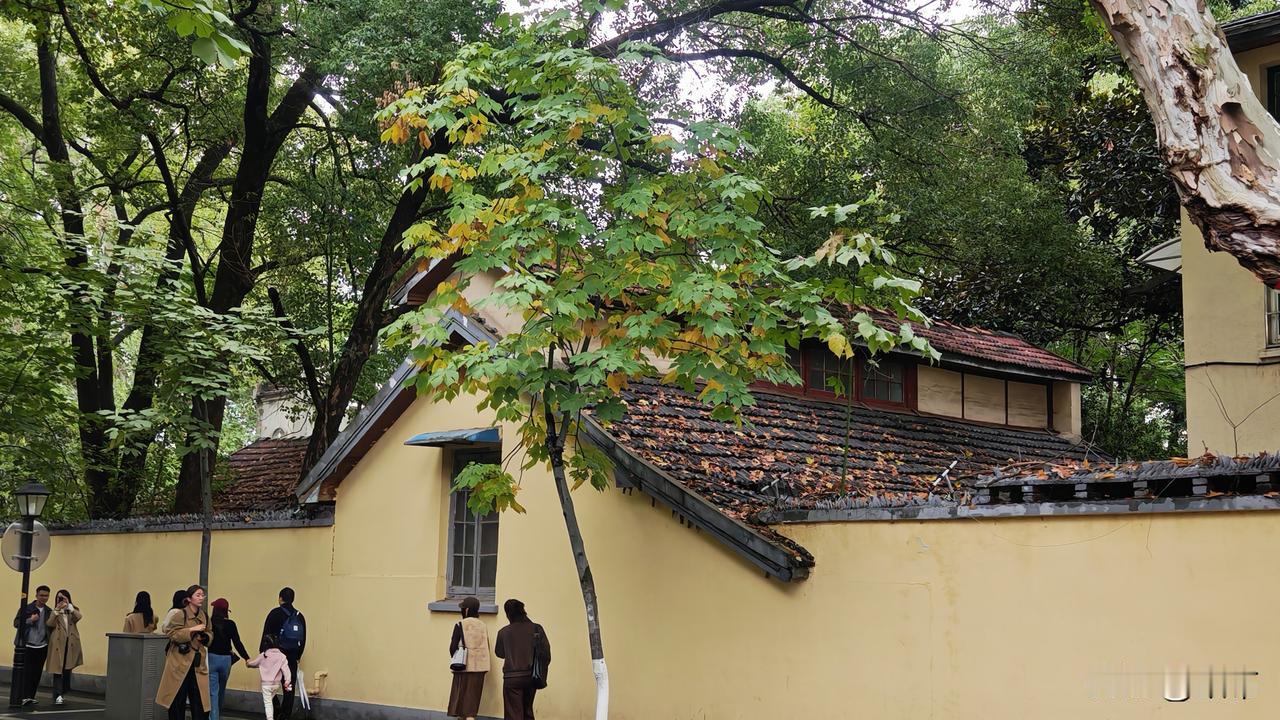 在南京逛了两天，腿都磨短了。要说南京最吸引我的地方，就是这条代表半部民国史的颐和