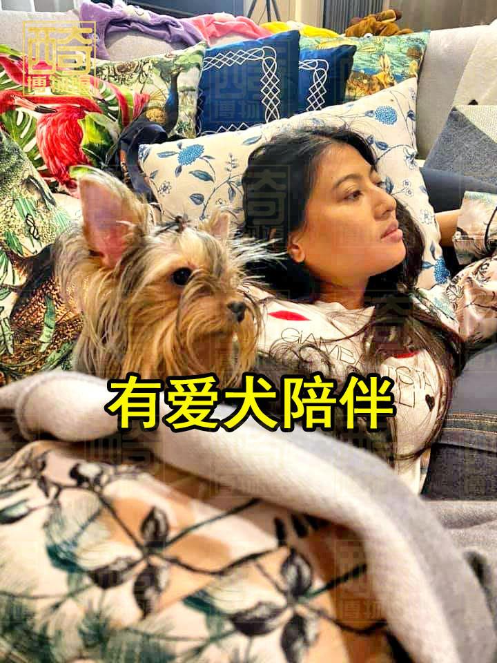 做公主的爱犬也很享福，有好骨头啃不说，公主还给它戴上漂亮的花儿，这狗子的生活衣食