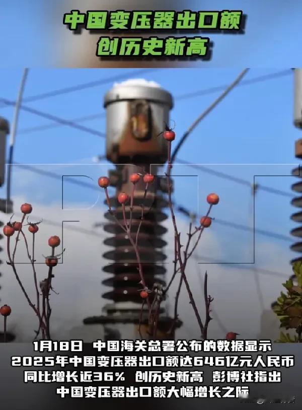 美国电压器奇缺，从中国大量进口。1月18日，中国海关总署公布的数据显示，2