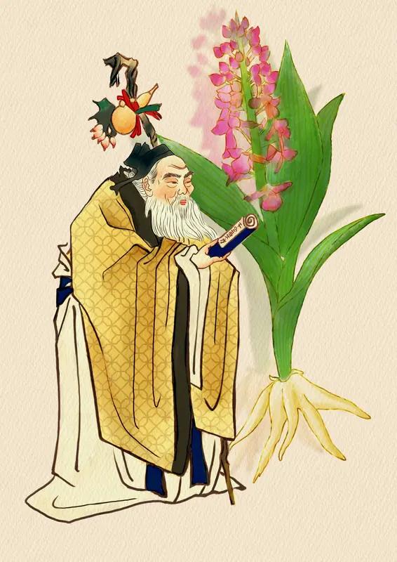 扁鹊原名秦越人，年轻的时候在一家饭馆做事。有个奇怪的人经常来，穿得衣衫褴褛，别的