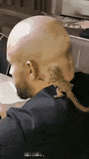 这小动物太小了，感觉比人的耳朵大不多少，看它的体型和长相，像是一只小猴子，这应该