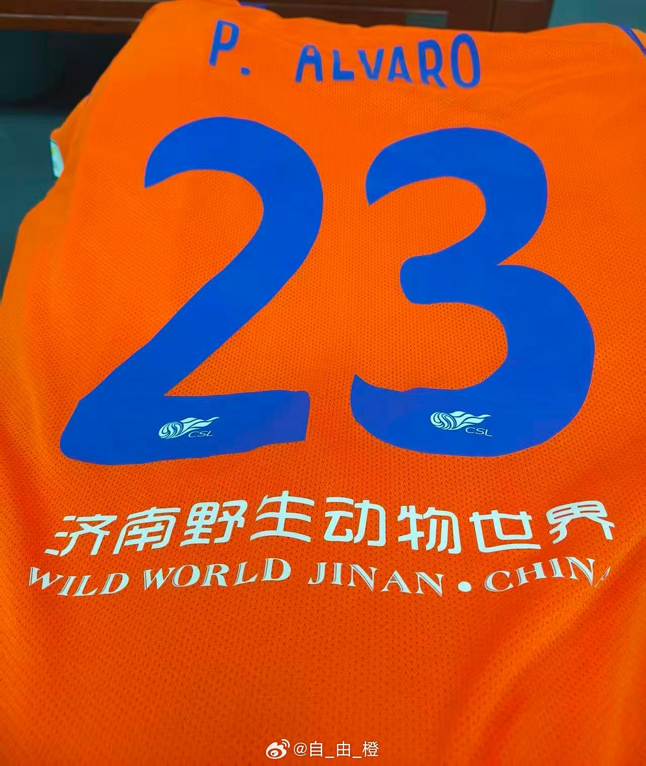 这胸前、背后广告，这不都是济南文旅自己家的产业么？山东泰山自由橙