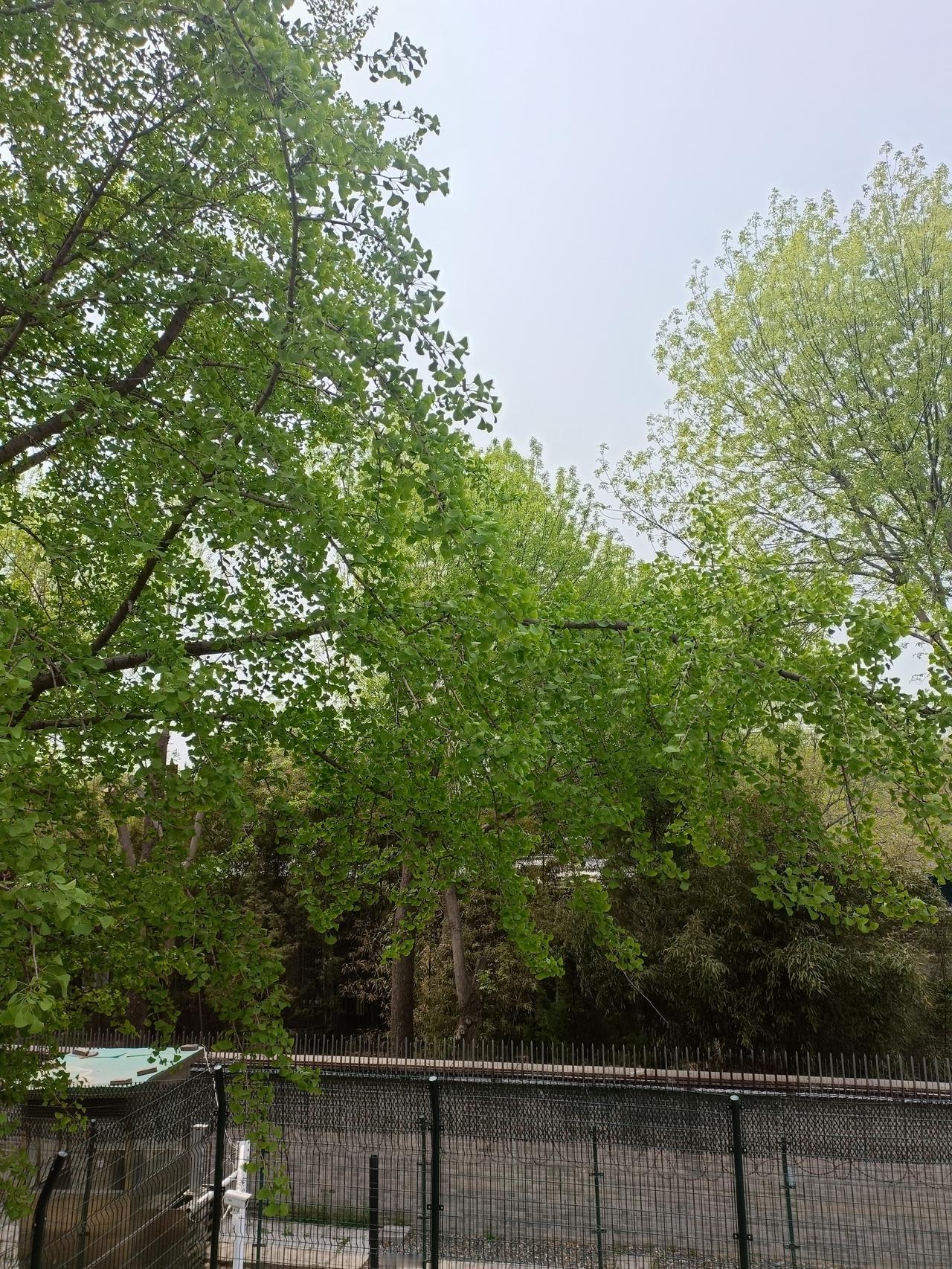 分享随手拍的树木花草照片，那我可有不少故事。之前去了曲靖恩洪花海，海拔2300米