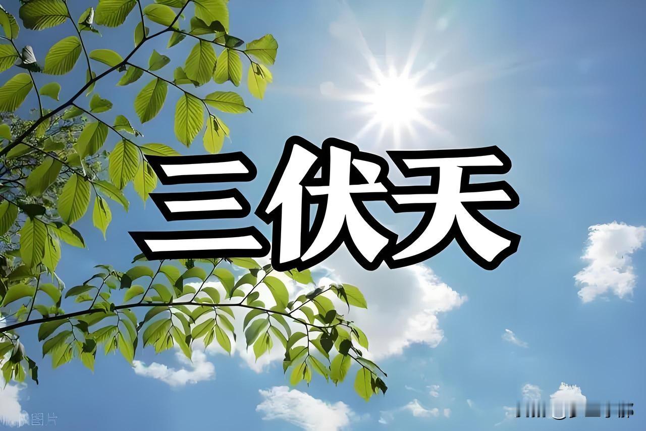三伏热不热，全看夏至这天！今日夏至，今年三伏要遭罪？老话常说：三伏热不热，就
