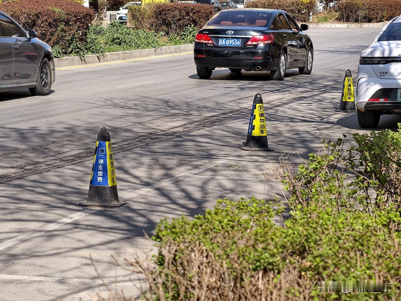 在马路上看见很多停车桩，好奇这究竟是干嘛用的？位置在沈阳大东区轩兴四路，我