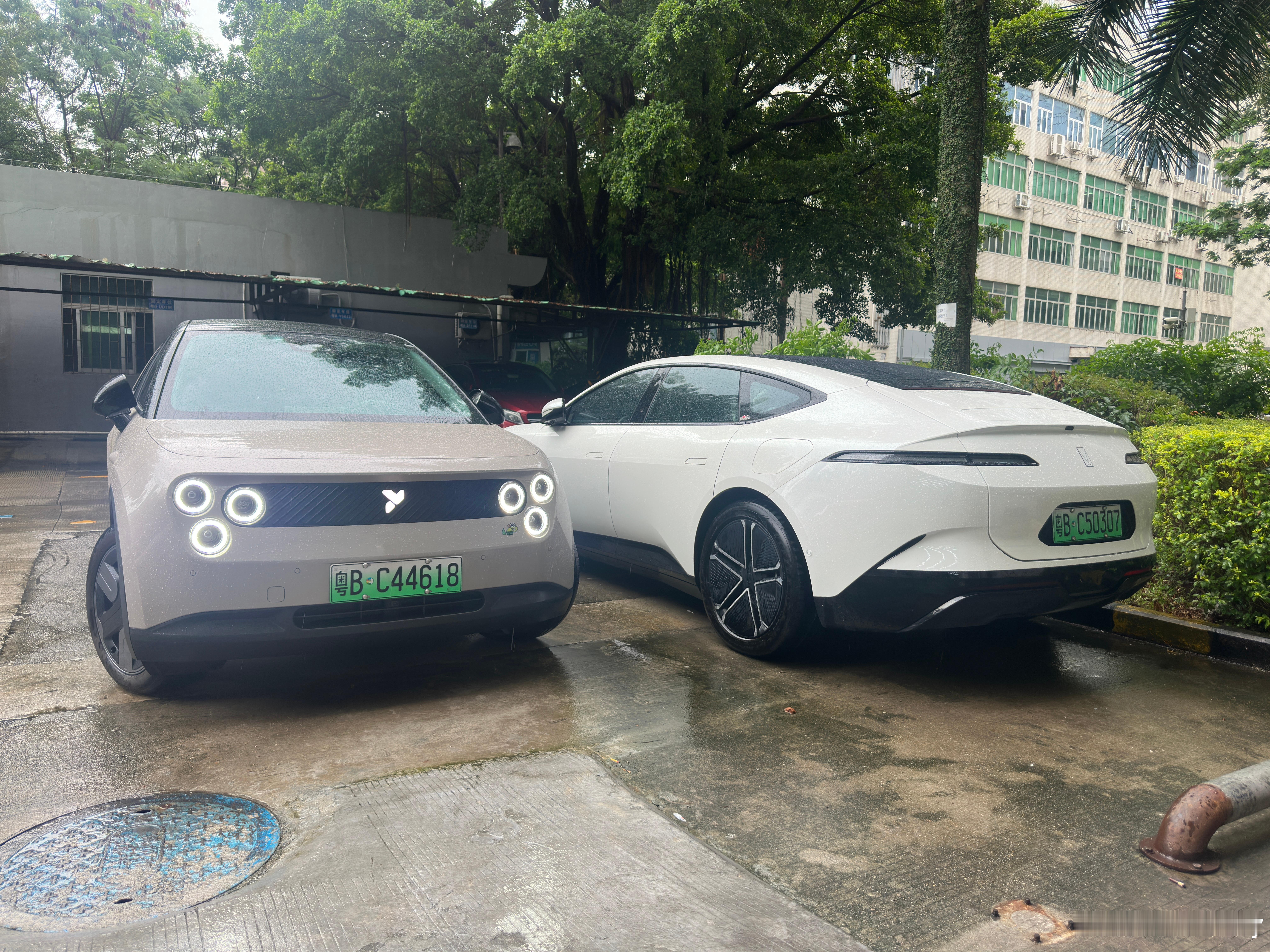 一台灵动可爱一台英俊靓仔​​​