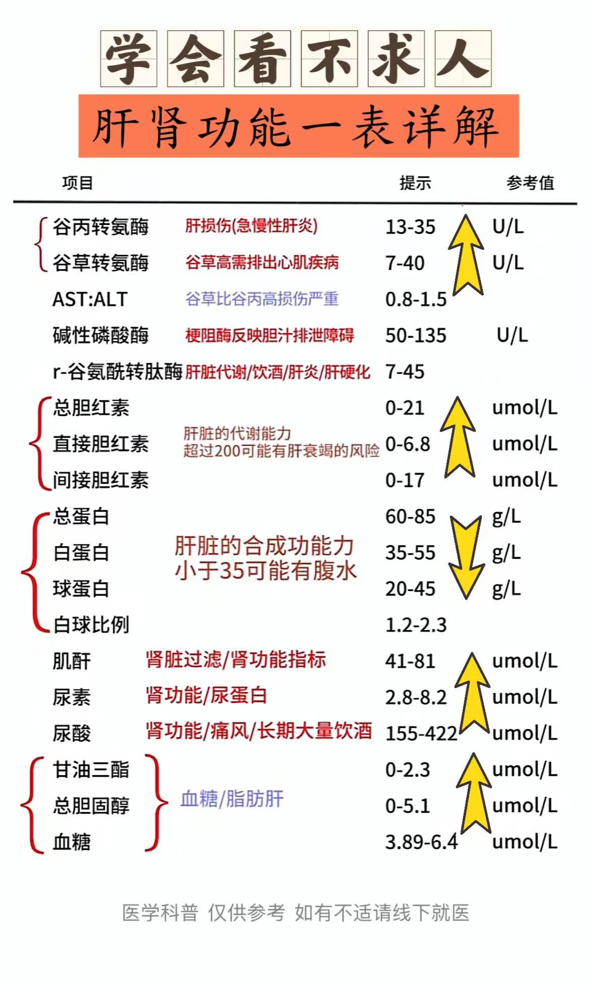 ﻿乙肝﻿ ﻿肝功能﻿ ﻿科普﻿ ﻿肝脏健康﻿ ﻿肝脏﻿ ﻿转氨酶﻿ ﻿...