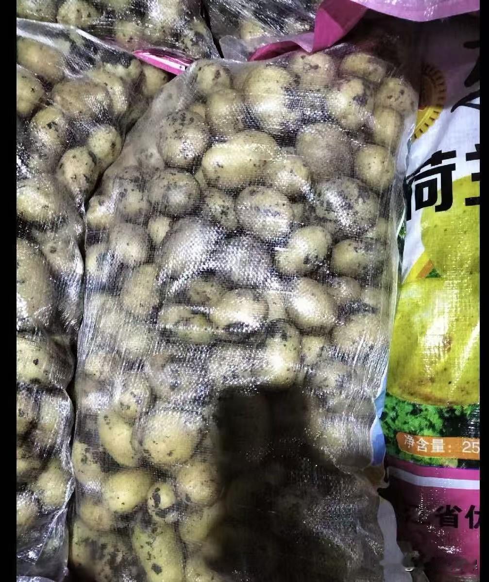 “这事真荒唐！”陕西商洛，一司机运输35吨土豆下高速走绿通，谁知收费员在检查完后