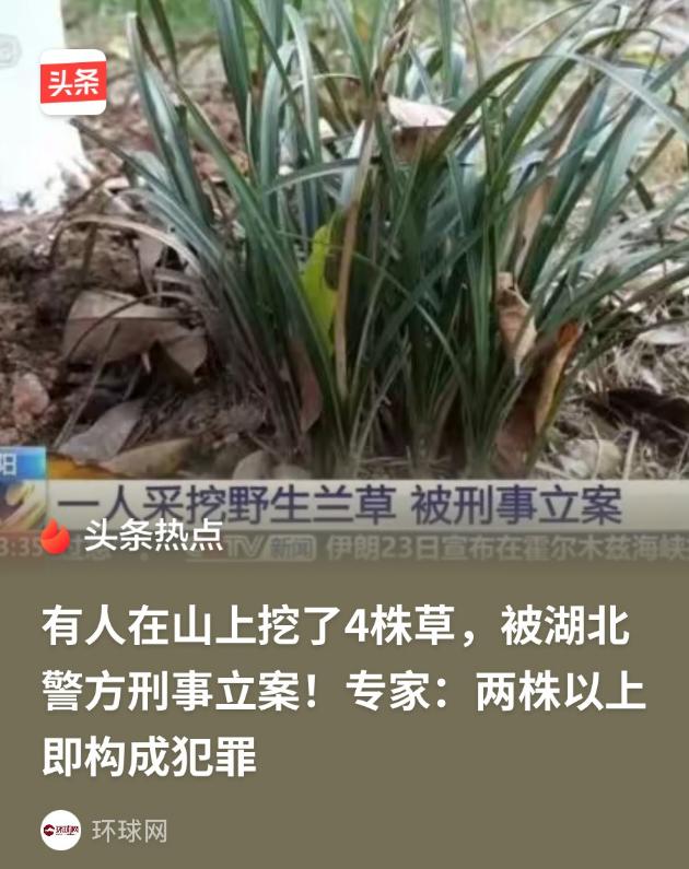 4月26日，湖北襄阳，一男子进入高铁站准备安检时，执勤人员发现男子行李中有几株植