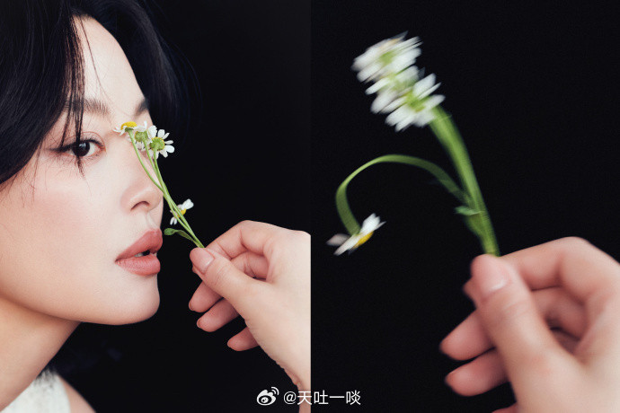 白色镂空上衣、清新靓丽优雅迷人——辛芷蕾。每日明星美图分享