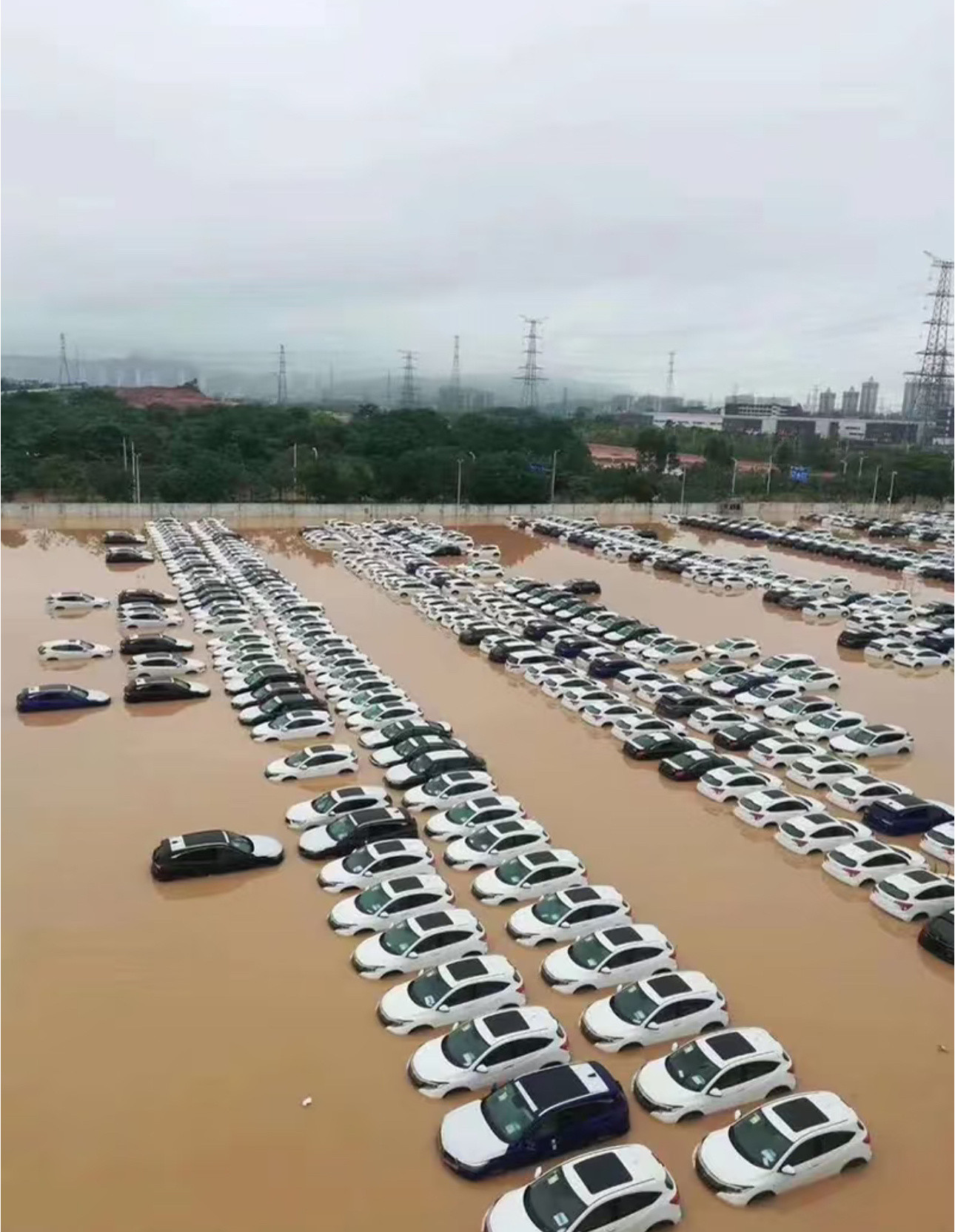 事故车和泡水车都不建议碰，风险类型不同但都不小。事故车要看伤在哪，伤到保险杠、车