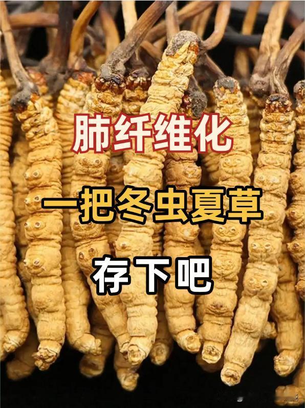 肺纤维化，你知道冬虫夏草吗？肺纤维化是一种让人头疼的肺部疾病，它会让肺部组织