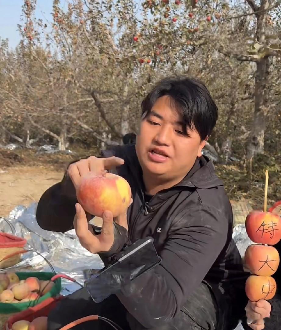 全进华婵宝的哥哥，开始分享苹果了，果子都是自然生长的，摘下来不洗就可以吃，不用担