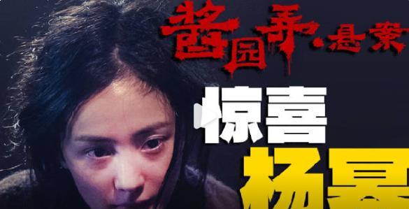 我有一种预感，《酱园弄》的票房可能不会太高，不是因为演员演技不好，也不是请了