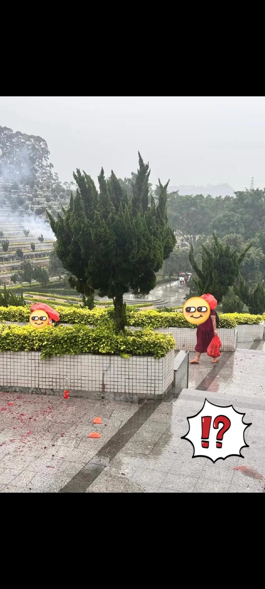 今天在墓地撞见的一幕，实在让人心里不是滋味。两位阿姨专盯着祭拜的人，等人家前脚