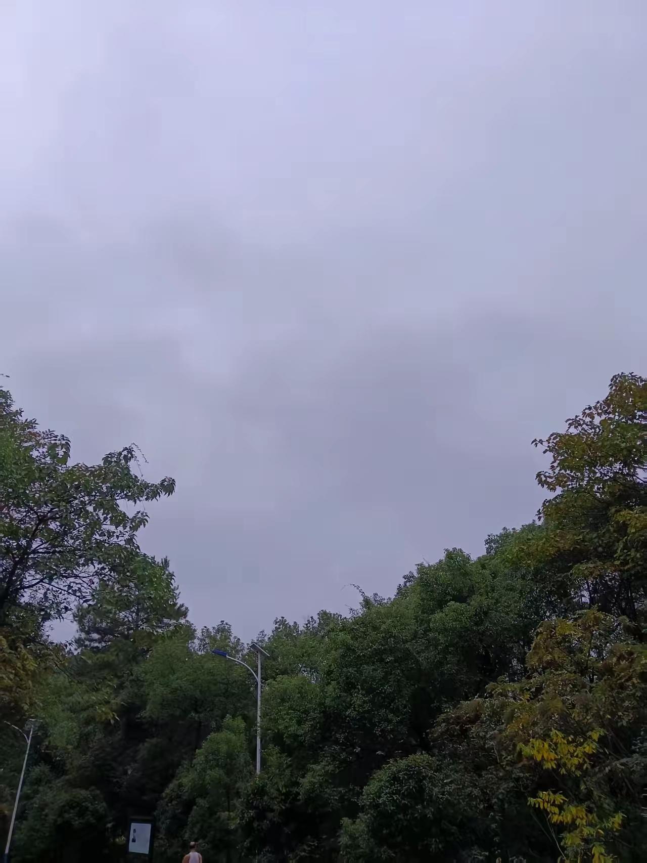 有一位高人和我说过一句话。​他说：在低层次的环境中尽量不要展示自己的美貌和美好