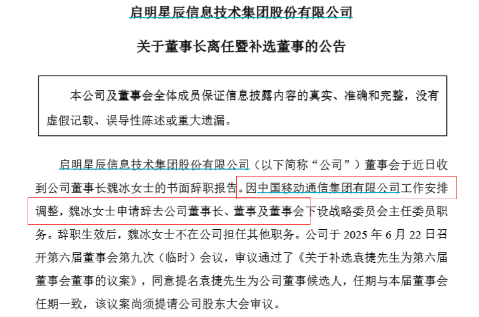 上任仅一年多, 启明星辰58岁女董事长魏冰辞职