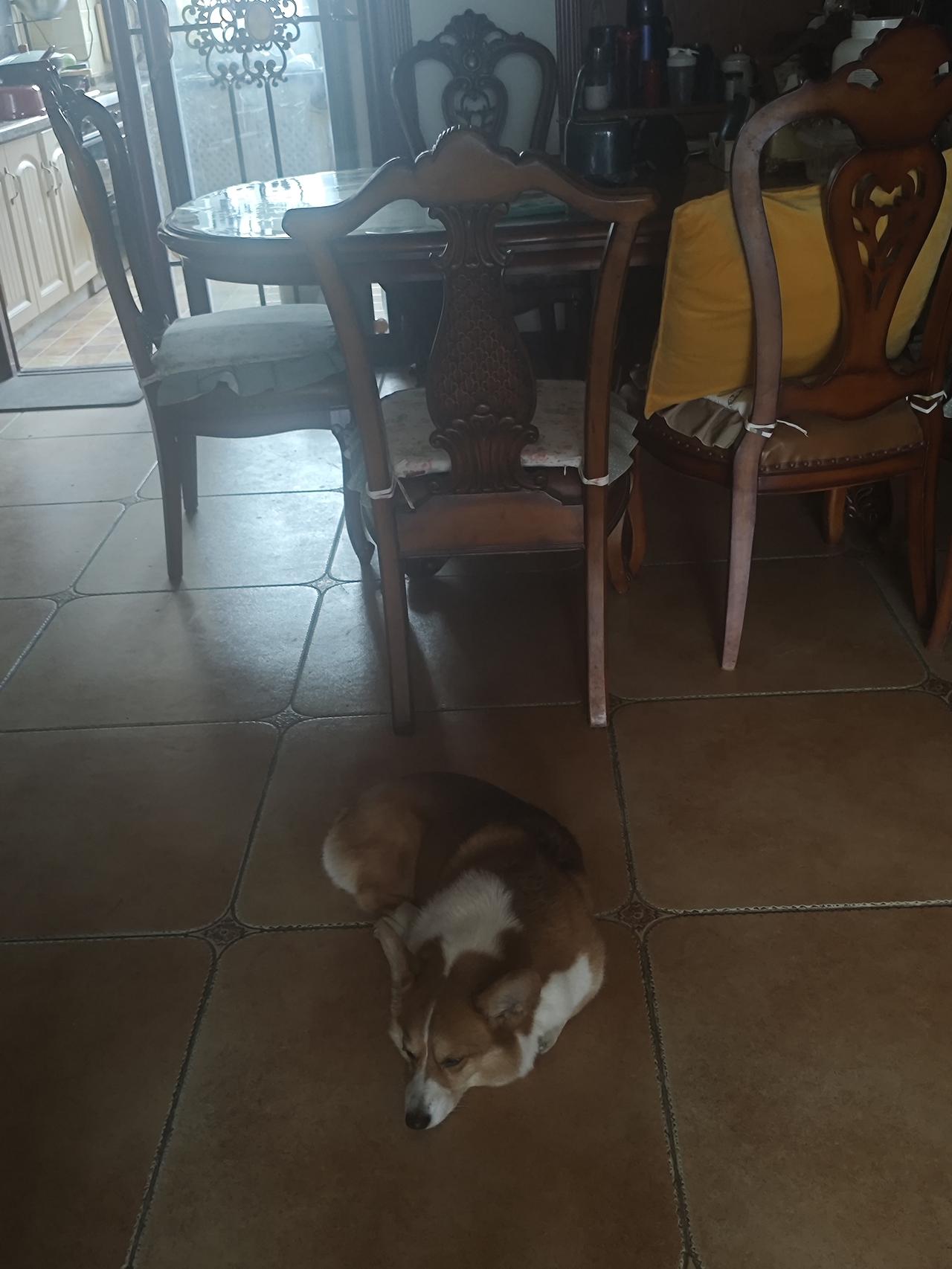 六十多岁老两口的午餐昨天冬至吃饺子剩余的饺子馅，老公午餐把它们包成馅饼，