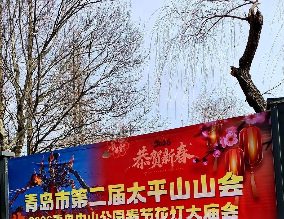 我跟你说，今年青岛的年味儿，估计要被那帮画着脸谱、踩着鼓点的小伙子们给点爆了。