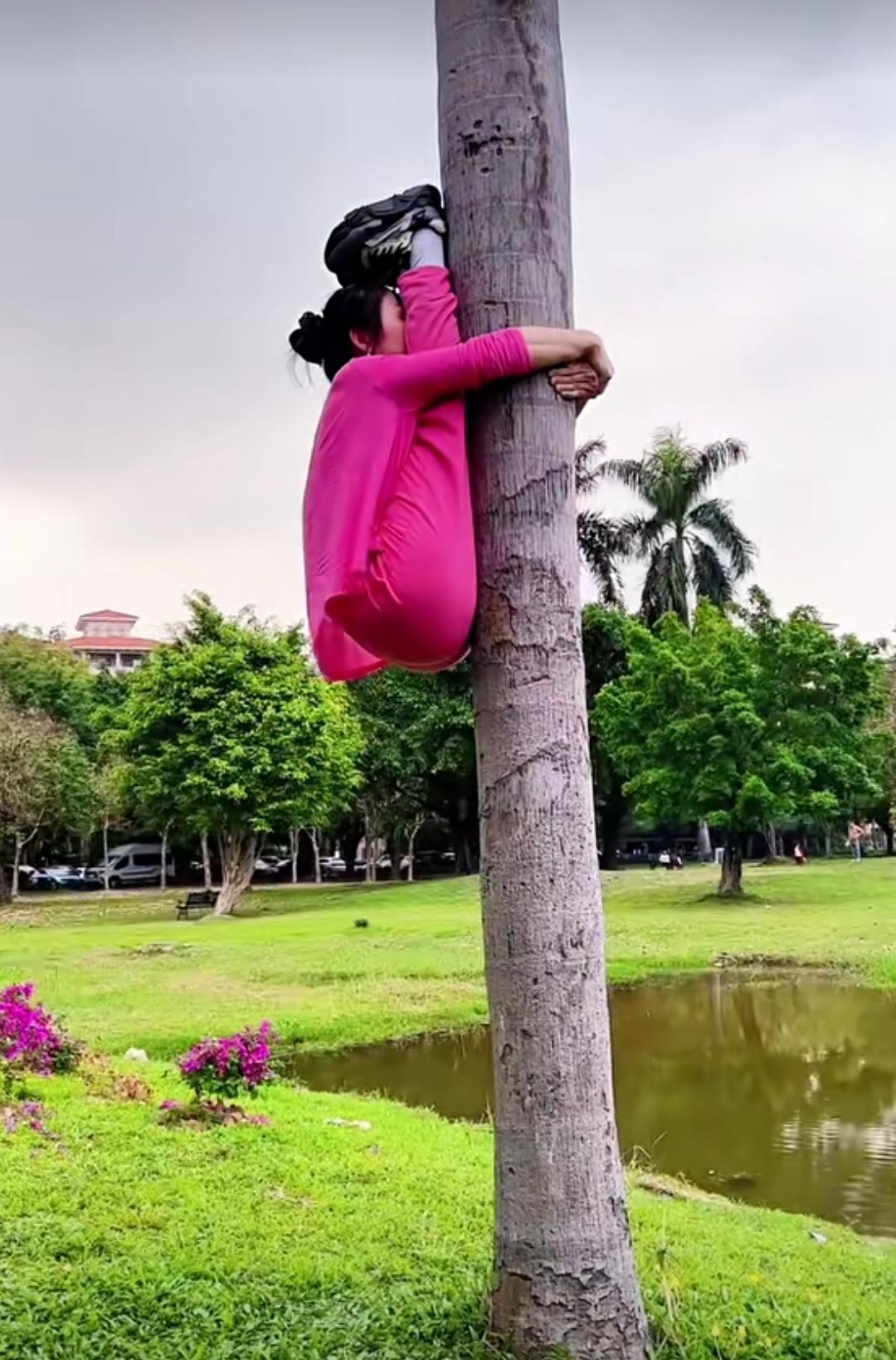 头脚紧紧贴在树上，向上（或向下）悬吊着，以这种奇特方式练习瑜伽的场景，要是视频博