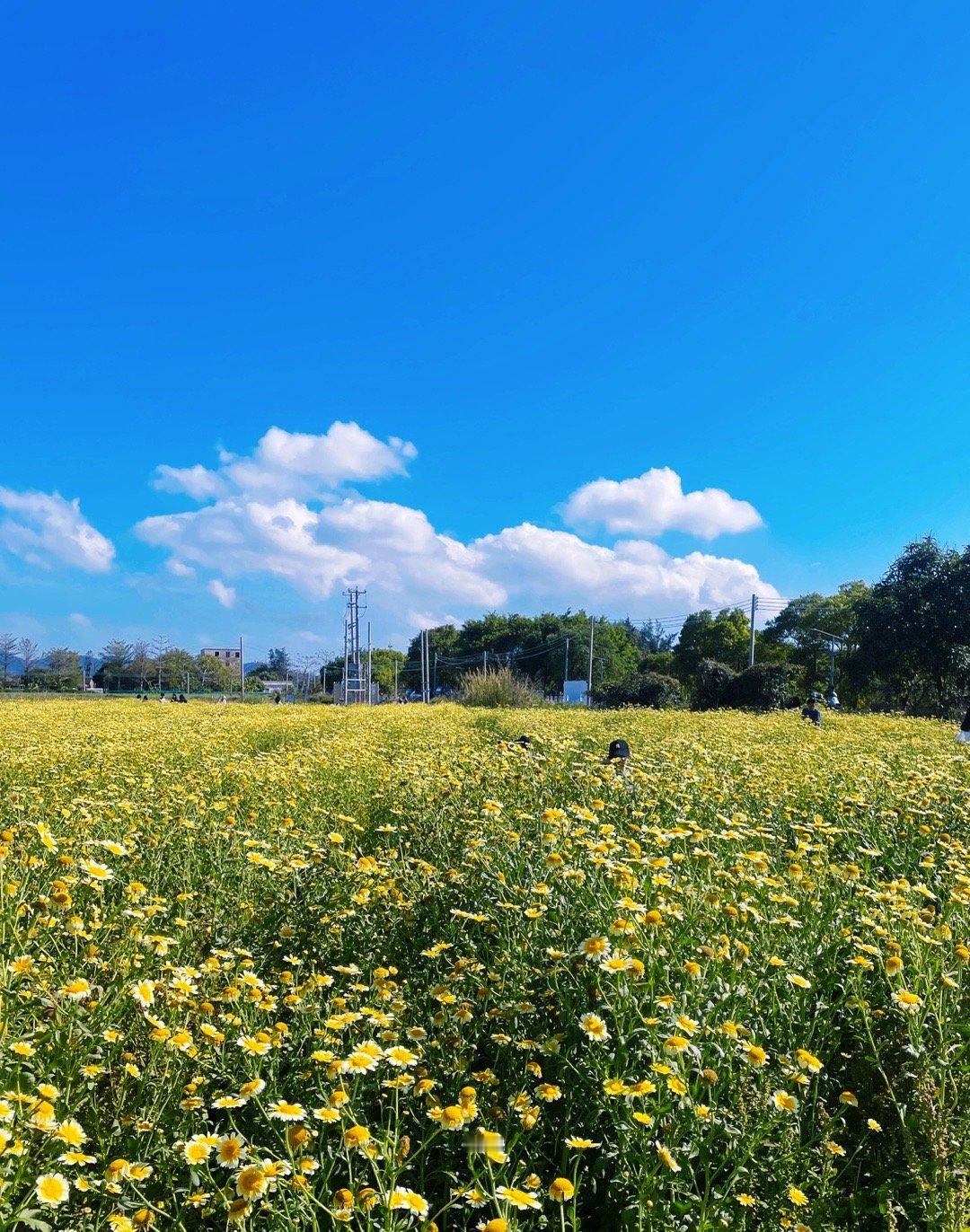 让我们逃离城市奔向春天的旷野之息