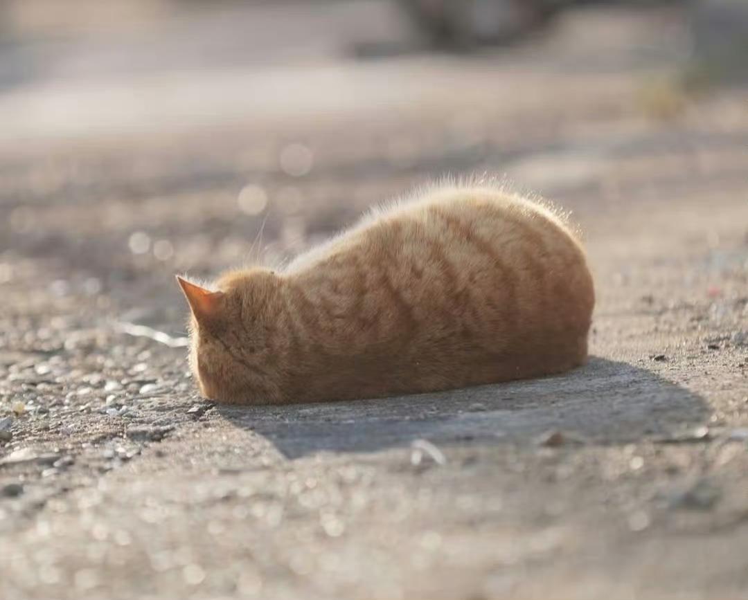 作家刘震云说：“别把亲戚看得太重，亲戚关系其实都很庸俗。亲戚关系，爷强则姑亲