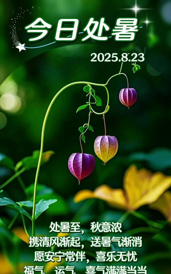 今日处暑。处暑至，秋意浓。携清风渐起，送暑气渐消。愿安宁常伴，喜乐无忧。福气、