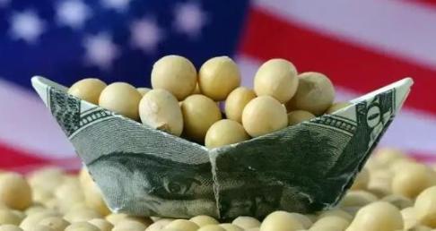 美国大豆为何非中国市场不可？从美方视角看，三年对华断供，表层是丢掉一个买家，深层