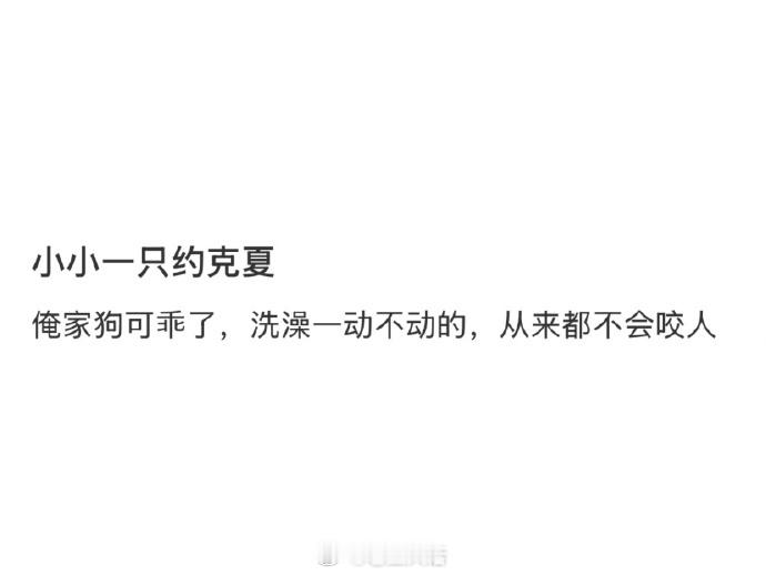 《我的小狗很乖》​​​