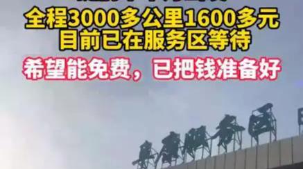 收费站回应女子蹭高速提前半月出发:符合规定但引争议