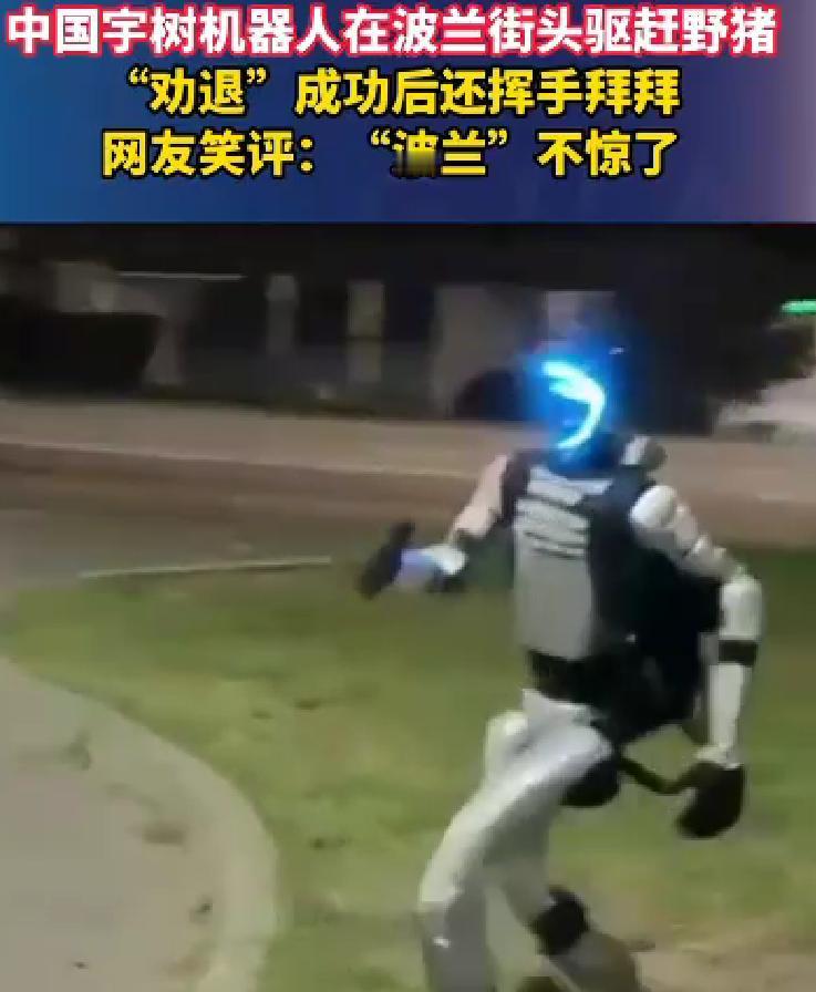 这两天我国的人形机器人刷屏了。很多人都认为主要原因是北京又举办了一次机器人马