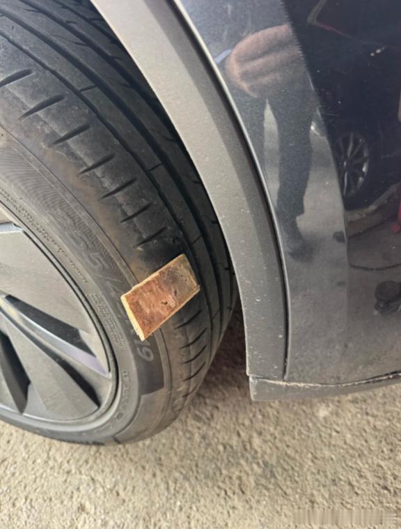 特别利索，噗一下就扎进去了！