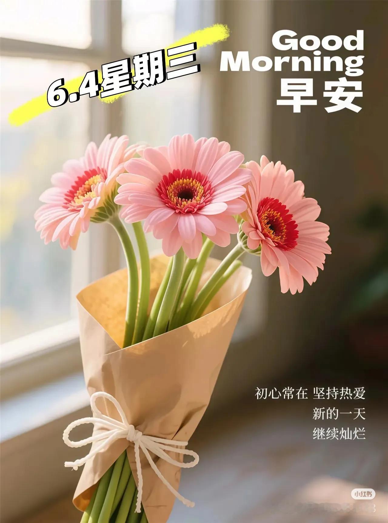 不关注不分析别人。只关注自己想要什么注意力在自己身上就会长脑子。不去计较才