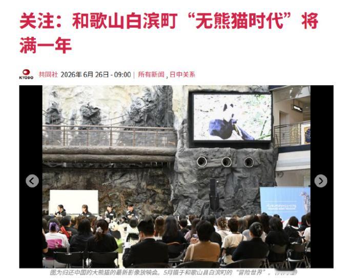 在归还中方4只熊猫1年后，日本和歌山县白滨町乐园称，日子过的更好了！共同社6月2