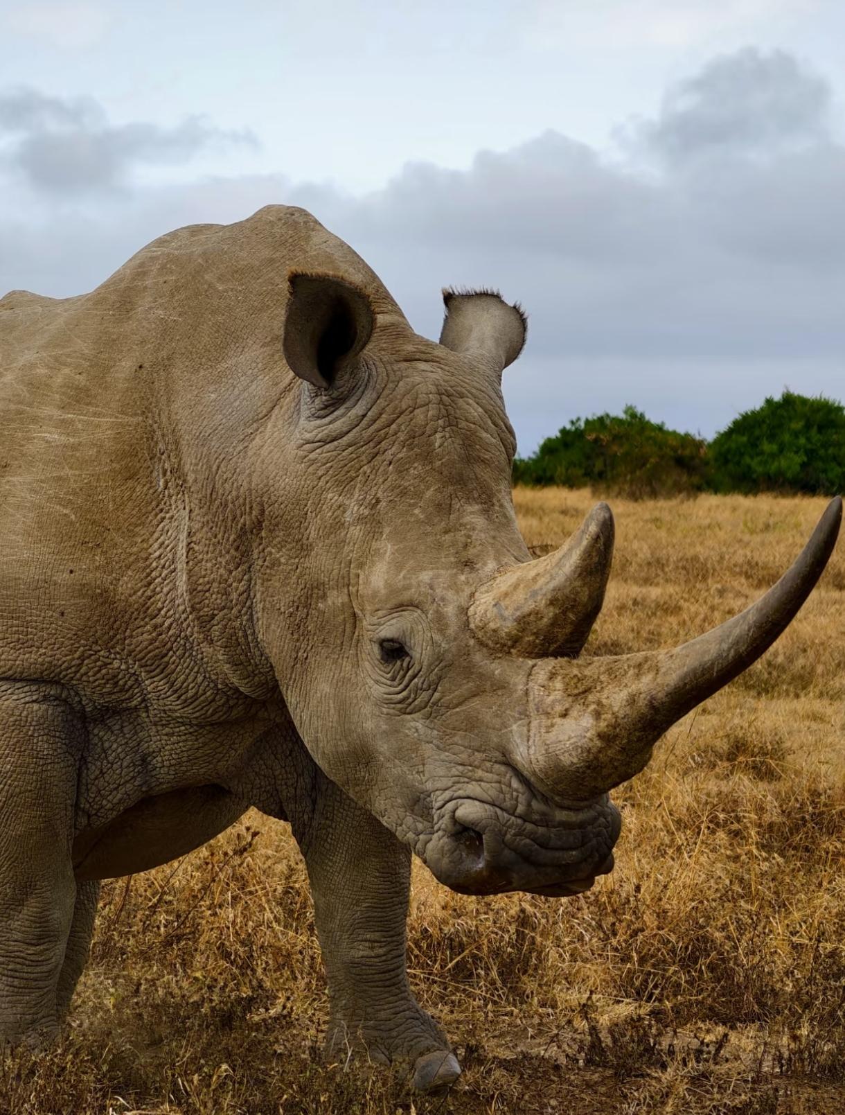 你敢信吗？3000多年前的河南，根本不是现在这样。没有高楼大厦，没有车水马龙，而