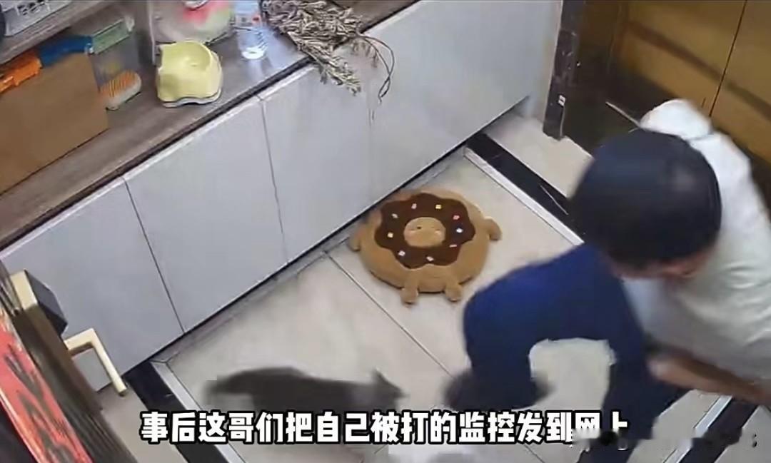 武汉一男子被养了两年的猫“单杀”！全身20多处伤，不敢回家还被全网群嘲，爱猫的不