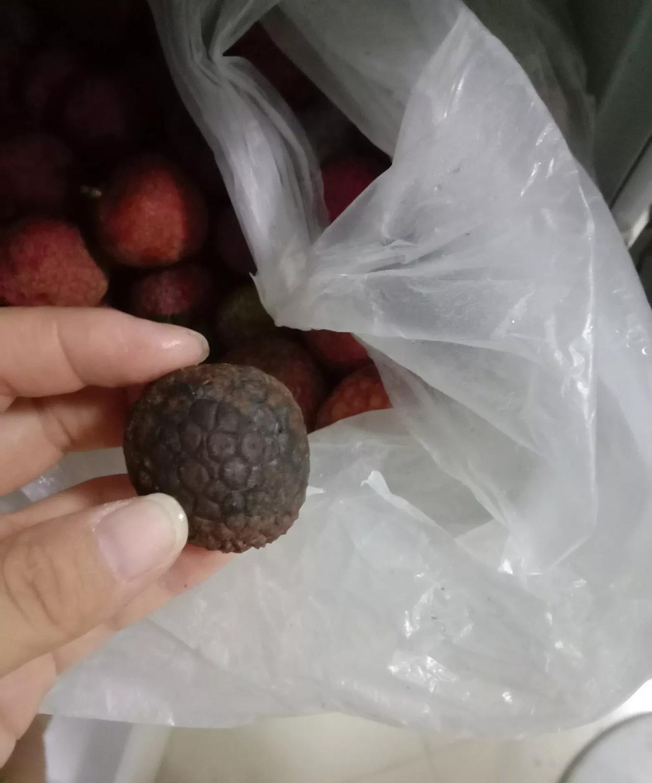 爸爸给我快递了5斤荔枝，快递驿站给我打电话的时候，我没有停留一刻，立马去快递驿站