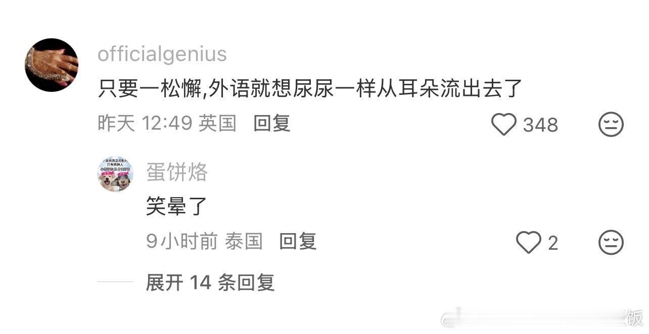 胡萝卜纸巾猫竟是我自己