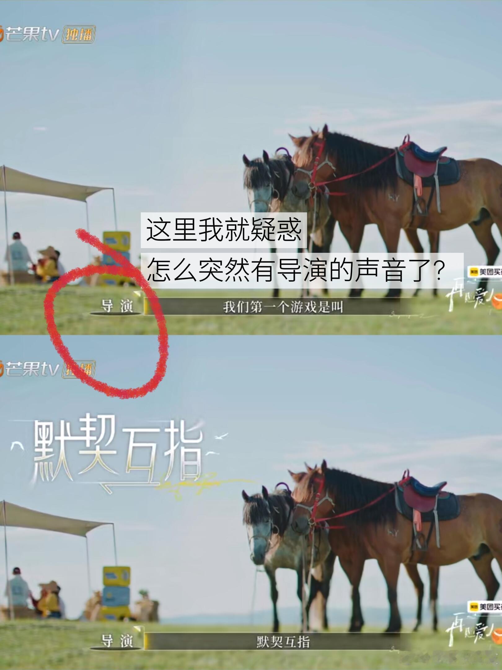 论再见爱人的🐮🍺消失术说实话播到第五期真的快忘了原本还有一组嘉宾的这期的导演